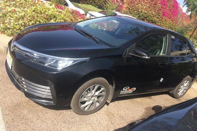 Private Departure Transfer from Cairo City to Cairo Airport - Reaching the correct Cairo Airport terminal