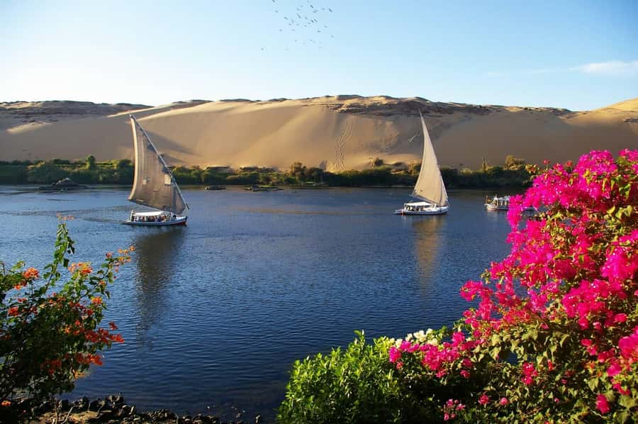 Private Felucca Ride on the Nile River - What is included for $15