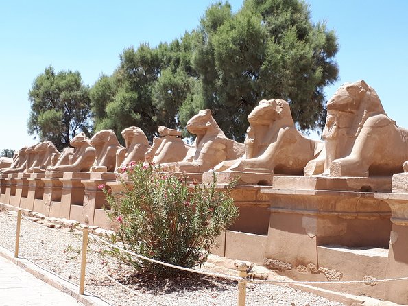 Private Full Day Tour to Luxor from Cairo with Flight - The guide makes the difference