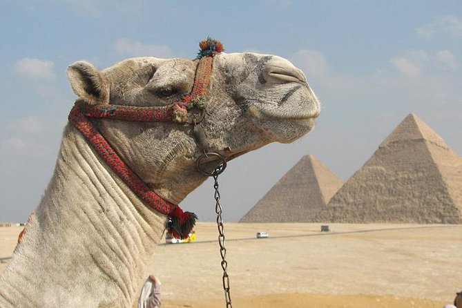 Private Journey :Grand Egyptian Museum & Giza Pyramids - At the Grand Egyptian Museum, start with the objects