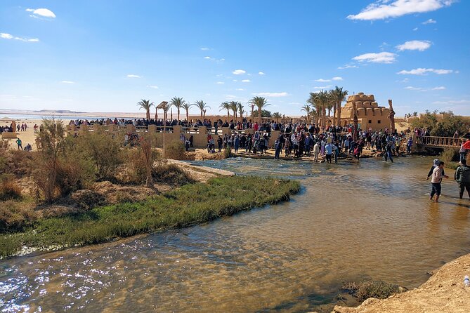 Private tour El Fayoum Oasis and Wadi Rayan waterfall from Cairo - Leaving Cairo for Lake Qarun