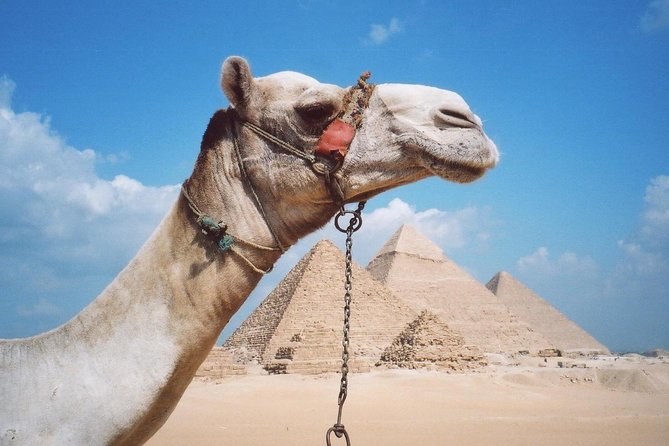 Private Tour: Giza Pyramids, Sphinx, Memphis, Sakkara - Ancient Memphis and the fallen Ramses II statue
