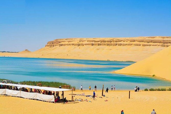 Private Tour To Fayoum Oasis, Valley Of The whales & Wadi Al Rian From Cairo. - What the $220 price really covers