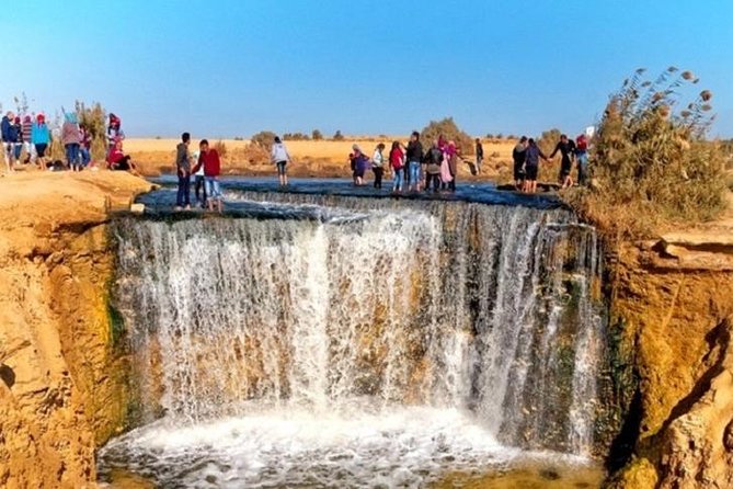 Private Tour To Fayoum Oasis, Valley Of The whales & Wadi Al Rian From Cairo. - Timing, comfort, and what to pack