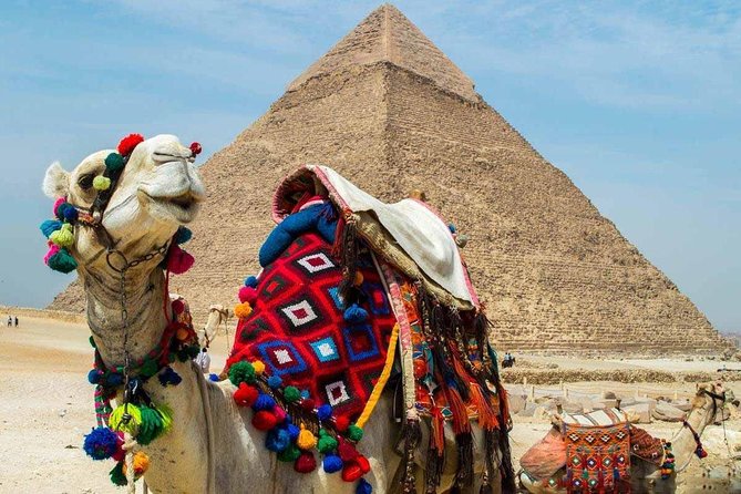 Private tour to Giza Pyramids, Sphinx and Egyptian museum - Lunch, camel rides, and optional extras
