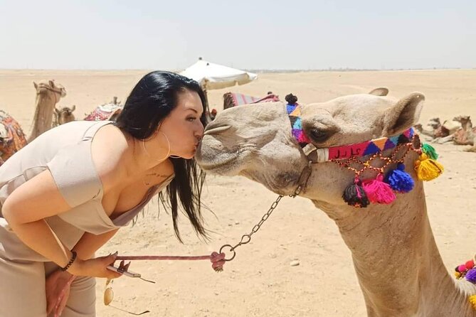 Private Tour to Great Pyramids of Giza and Sphinx - The panoramic viewpoint is worth your camera space