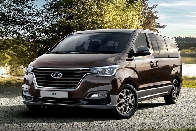 Private Transfer Marsa Alam Airport Transfer To Hotels - Is $14 per person good value?