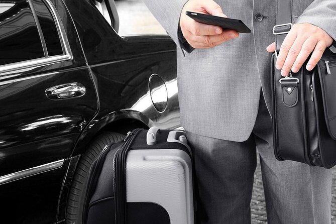 Private Transfers to/from Cairo Airport & Hotels in Cairo & Giza - Who Will Benefit Most From Booking
