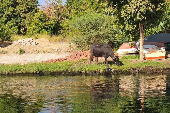 Private Trip to Nubian Village and Felucca Ride in Aswan - What the $40 Price Covers
