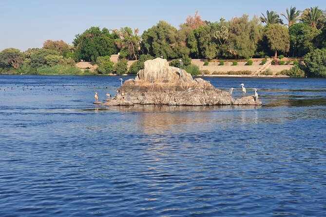 Private Trip to Nubian Village and Felucca Ride in Aswan - Who Should Book This Experience