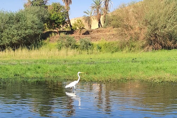 Private Trip to Nubian Village and Felucca Ride in Aswan - Booking Details and Cancellation