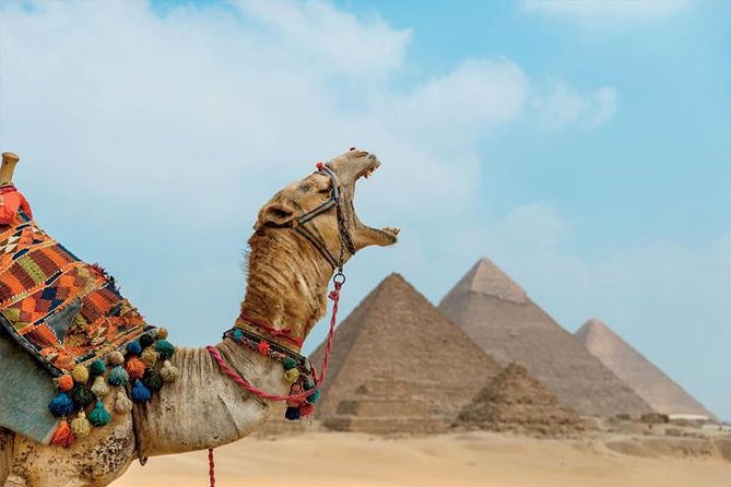 Private ViP all-inclusive Giza Pyramids,Sphinx,Inside Pyramid - The Sphinx and Valley Temple
