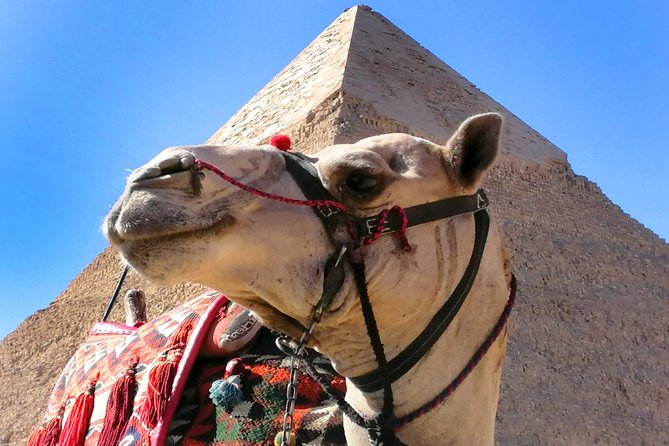 Pyramids of Giza & Saqqara complex - Starting from Cairo or Giza at 8:00 am