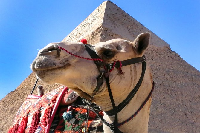 Pyramids of Giza, the Sphinx, the Egyptian Museum. - What the Guide Adds to the Day