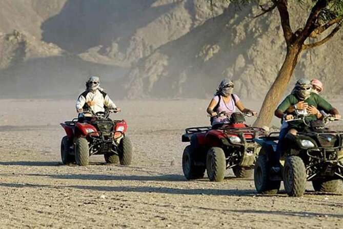 Quad with Camel Ride & Bedouin village From Marsa Alam - Key points to know before booking