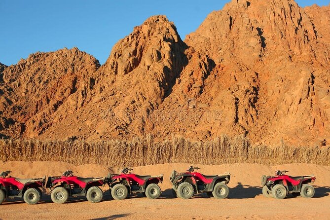 Quad with Camel Ride & Bedouin village From Marsa Alam - Pickup from Marsa Alam hotels can take time