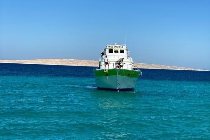Red Sea Diving Trip from Hurghada: Beginner to Advanced Divers - What the 8:00 am start and seven-hour day look like