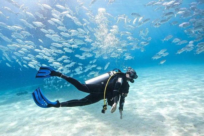 Scuba Diving Full Day Boat Trip for beginners With Lunch & Transfer – Hurghada - Your first underwater session in the Red Sea