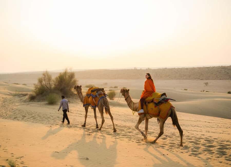 Sharm El Sheikh: ATV Dunes & Waves Adventure with Lunch - Glass boat views of coral and fish