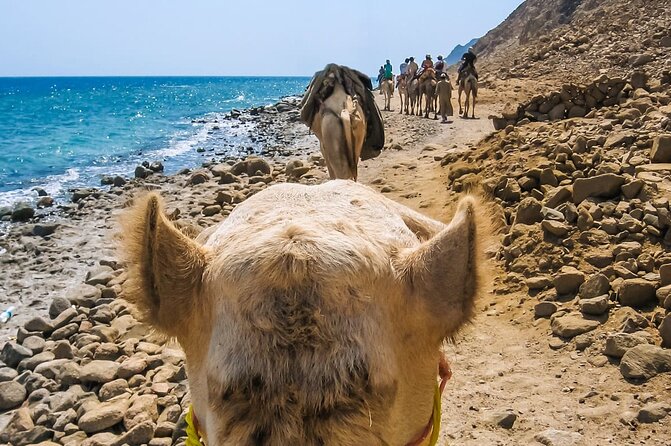 Sharm El Sheikh: Colored Canyon Jeep Tour with Blue Hole & Dahab - Snorkeling beside the Blue Hole