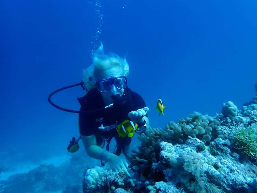 Sharm El Sheikh: Day sail to White island and Ras Mohamed - White Island and the Red Sea’s changing shoreline