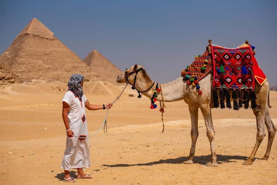 Sharm El-Sheikh: Full-Day Tour of Cairo and Pyramids by Bus - Lunch and possible craft stops