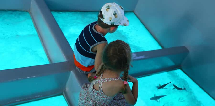 Sharm El Sheikh: Glass Bottom Boat Tour & Private Transfer - Cruising from Naama Bay toward the reef gardens