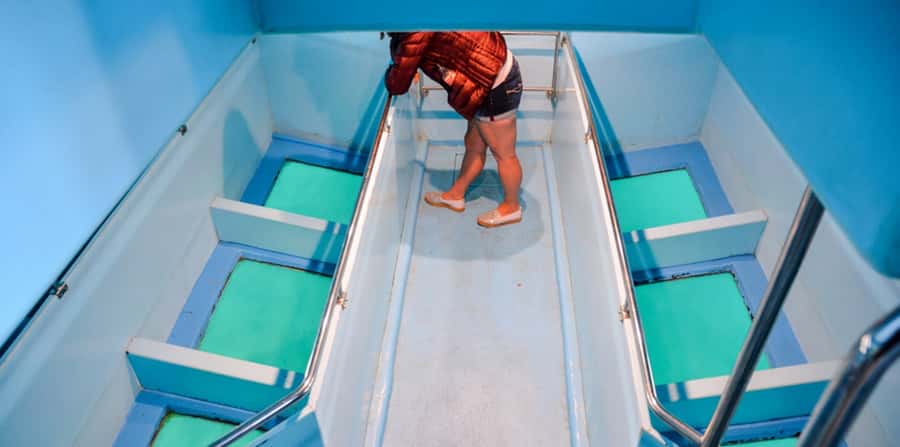 Sharm El Sheikh: Glass Bottom Boat Tour & Private Transfer - The Great Brain coral and underwater photo stops