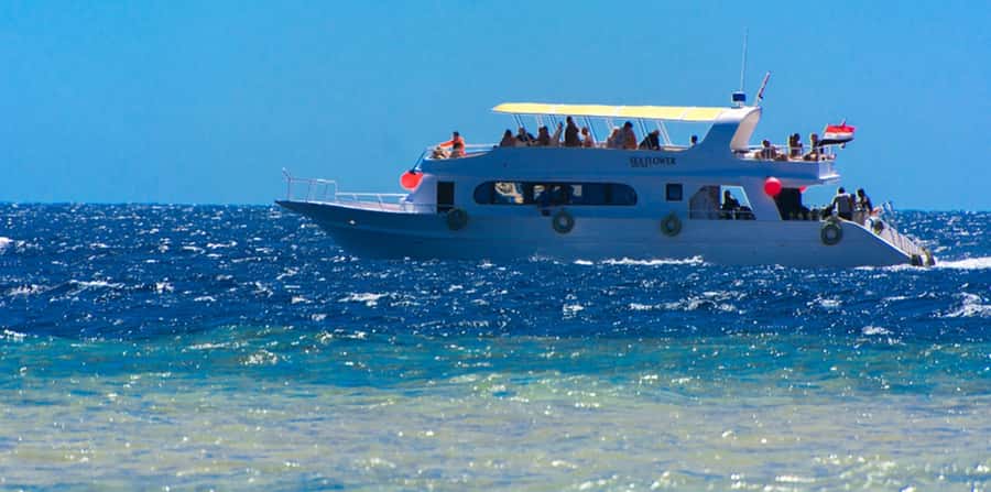 Sharm El Sheikh: Glass Bottom Boat Tour & Private Transfer - Is $33 per person good value?