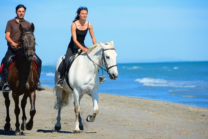 Sharm El Sheikh Horseback Riding with Pickup and Drop-off - A Red Sea ride with a choice of scenery