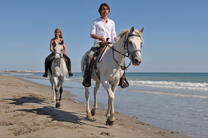 Sharm El Sheikh Horseback Riding with Pickup and Drop-off - The horses are part of the experience