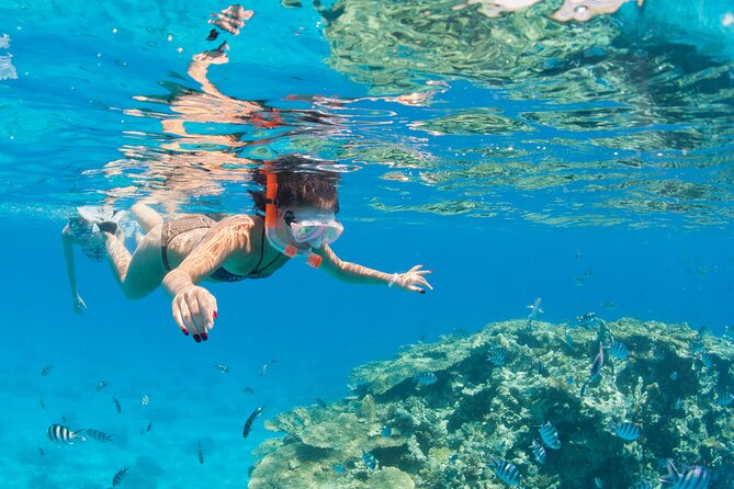 Sharm El-Sheikh: Jeep Adventure to Blue Hole, Canyon & Dahab - Snorkeling at Blue Hole National Park