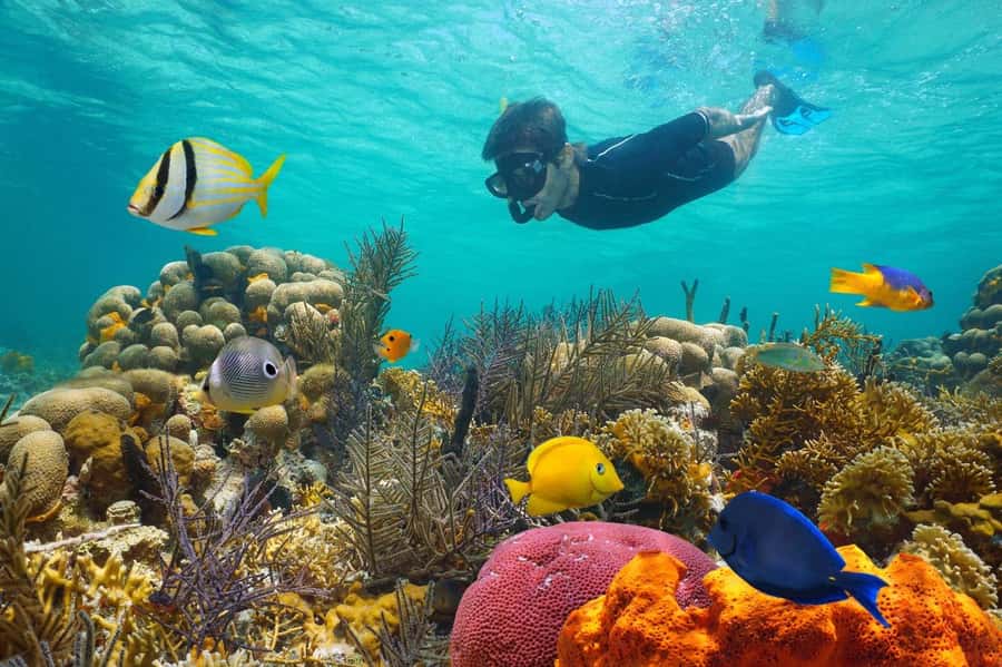 Sharm El Sheikh: Luxury boat Cruise with Snorkeling & Lunch - The first Ras Muhammad stop: reef time with a guide