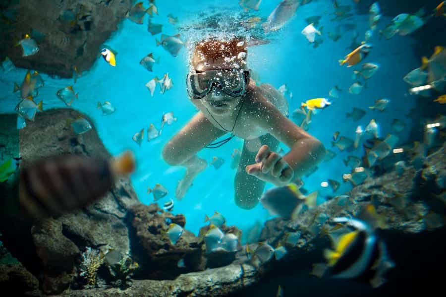 Sharm El Sheikh: Luxury boat Cruise with Snorkeling & Lunch - The second swim and the return sail