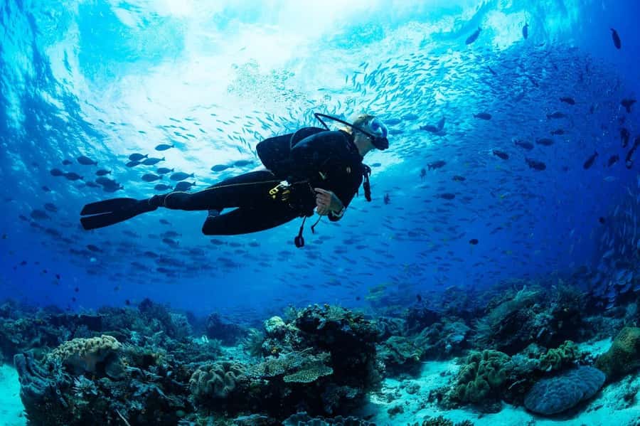 Sharm El Sheikh: Luxury boat Cruise with Snorkeling & Lunch - Who should book this cruise