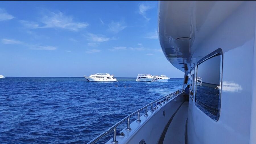 Sharm El-Sheikh: Luxury Ras Mohammed & White Island Cruise - Who will enjoy this cruise most