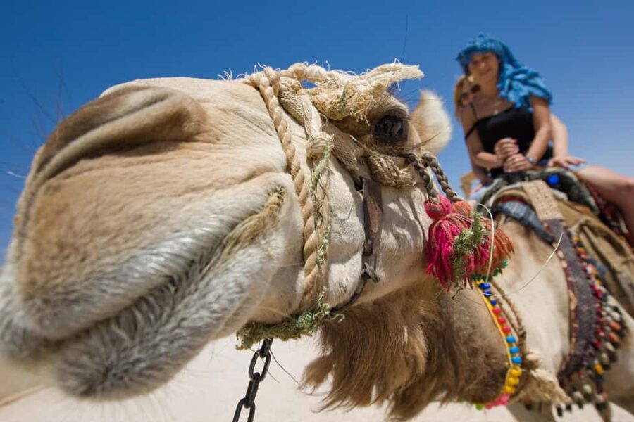 Sharm El-Sheikh: Morning Desert ATV Quad or Buggy Adventure - Why this morning works so well