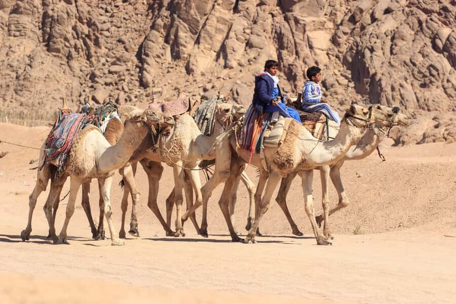 Sharm El-Sheikh: Morning Desert ATV Quad or Buggy Adventure - Who should book this desert morning?