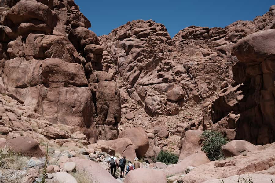 Sharm El Sheikh: Mount Sinai & St. Catherine's Monastery - Waiting for sunrise at a cold summit