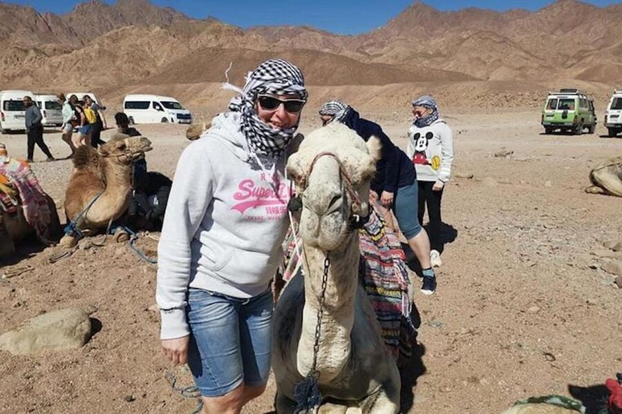 Sharm El-Sheikh: Parasailing, Camel Ride, Dive & Quad Bike - Why the full option can be good value at $41