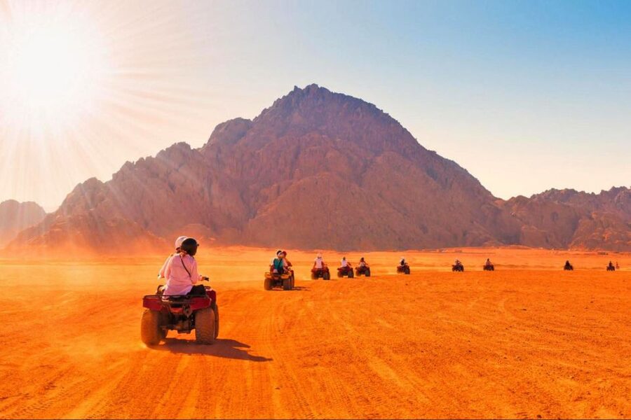 Sharm El-Sheikh: Parasailing, Camel Ride, Dive & Quad Bike - Who will enjoy this tour most