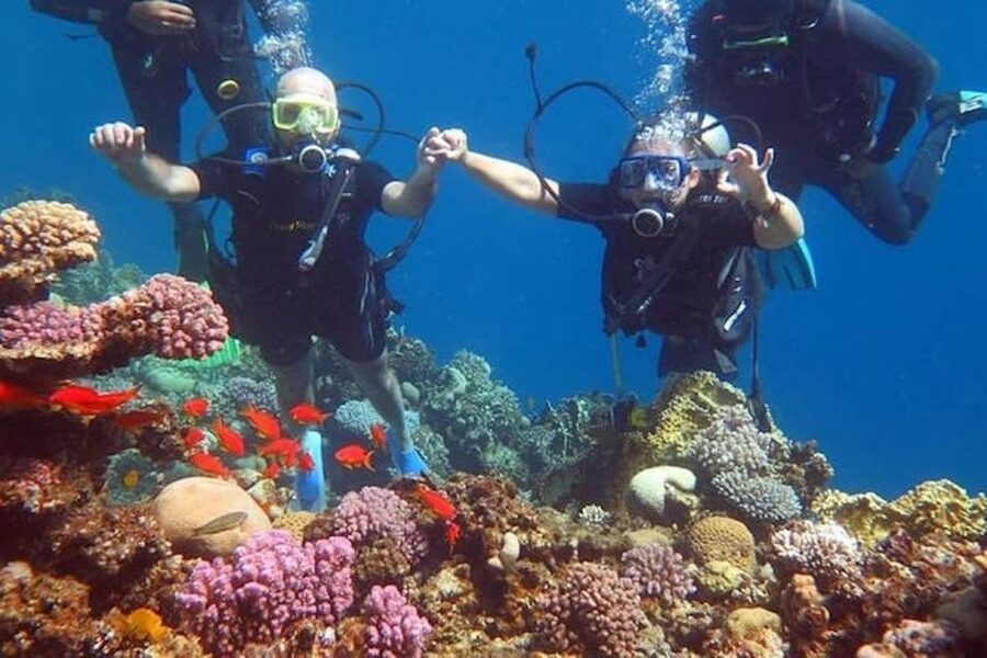 Sharm El-Sheikh: Parasailing, Camel Ride, Dive & Quad Bike - Starting with a quad bike in the South Sinai desert