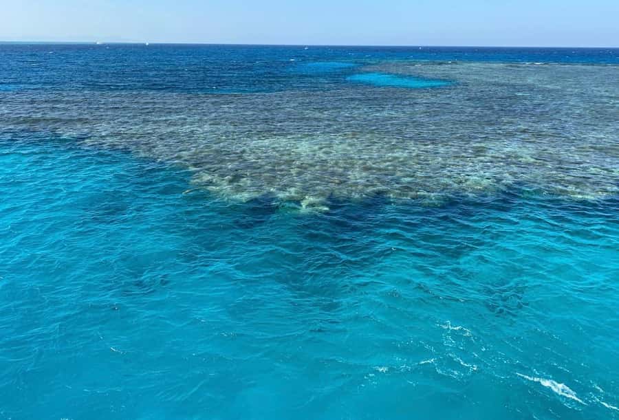 Sharm el-Sheikh: Premium Ras Mohammed & White Island Cruise - Lunch, drinks, and time back on deck