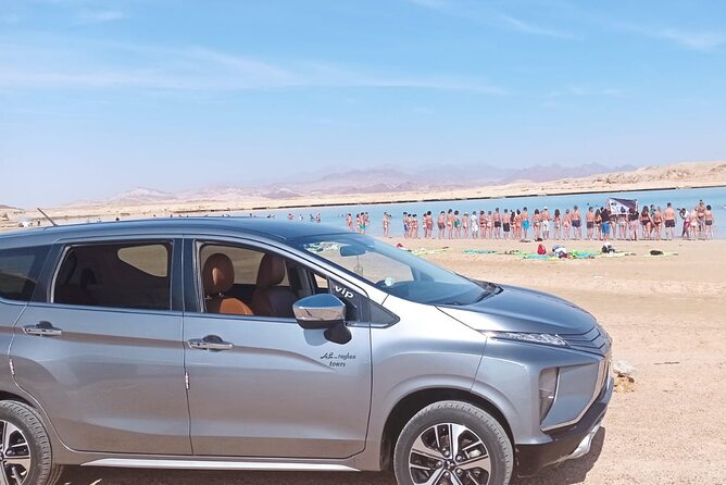 Sharm el Sheikh Private Airport Transfer - Meeting your driver outside arrivals