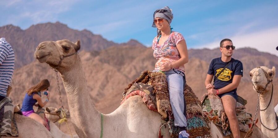 Sharm El Sheikh: Quad bike, Safari, Camel With Dinner & Show - Tea and Bedouin life at the village