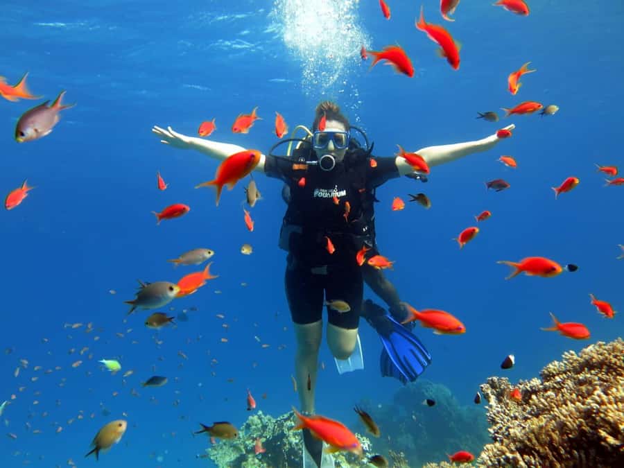 Sharm El Sheikh: Ras Mohamed Cruise with Snorkeling & Lunch - Lunch on the boat