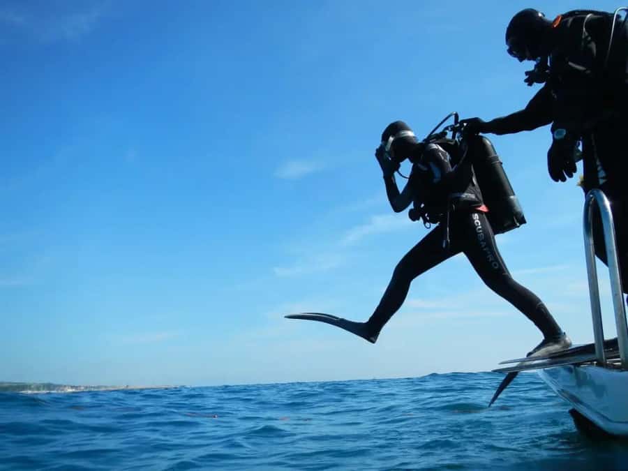 Sharm El Sheikh: Ras Mohamed & White Island Dive & Snorkel - A full day from Sharm El Sheikh to Ras Mohamed
