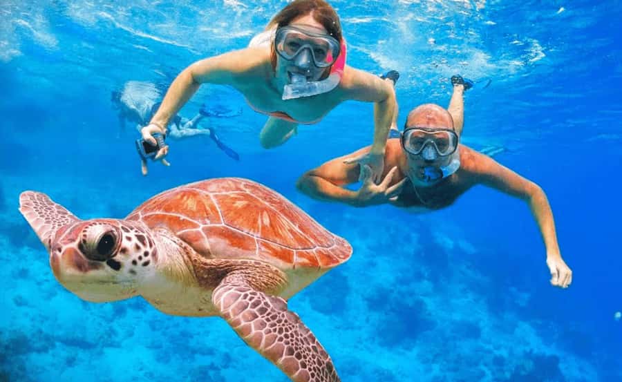 Sharm El Sheikh: Ras Mohamed & White Island Dive & Snorkel - Why Ras Mohamed is the main event