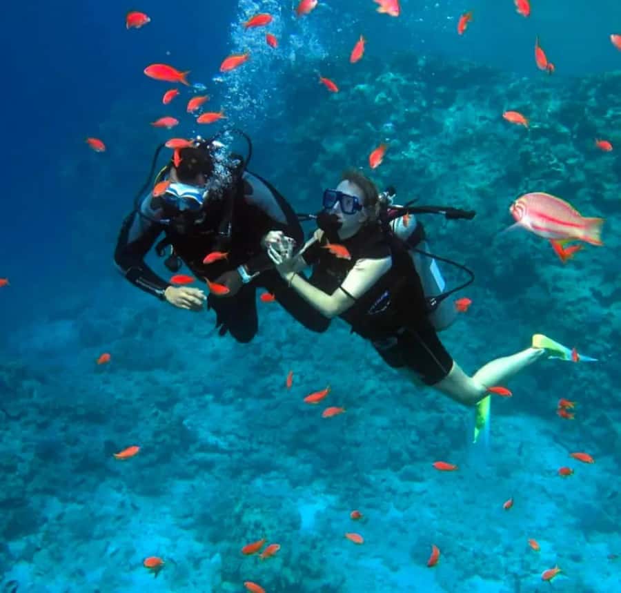 Sharm El Sheikh: Ras Mohamed & White Island Dive & Snorkel - White Island, the bright pause in the day