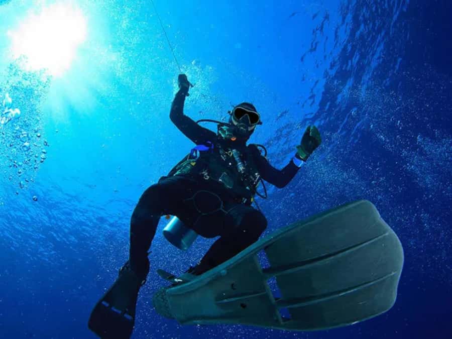 Sharm El Sheikh: Ras Mohamed & White Island Dive & Snorkel - How the crew handles nervous beginners